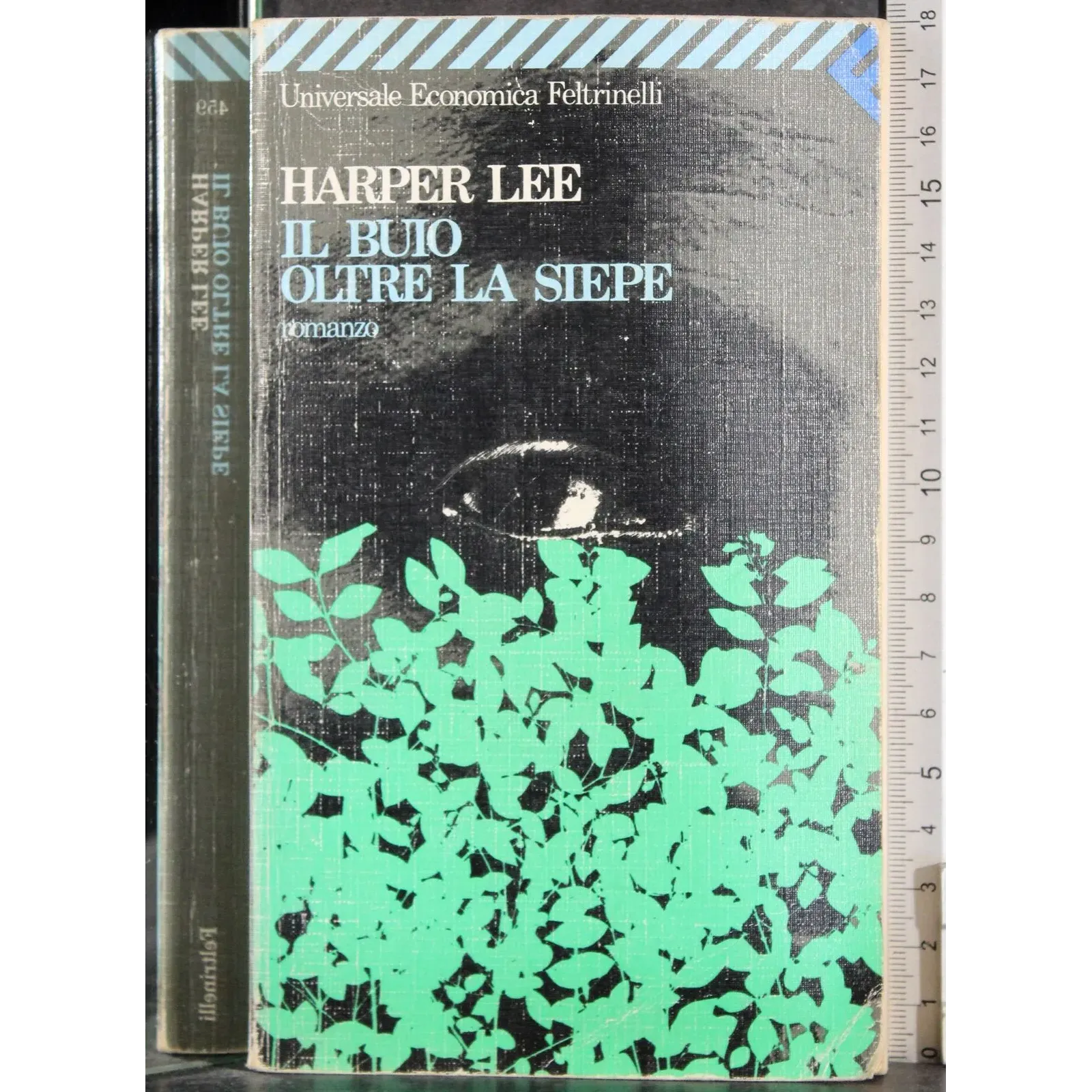 Il buio oltre la siepe