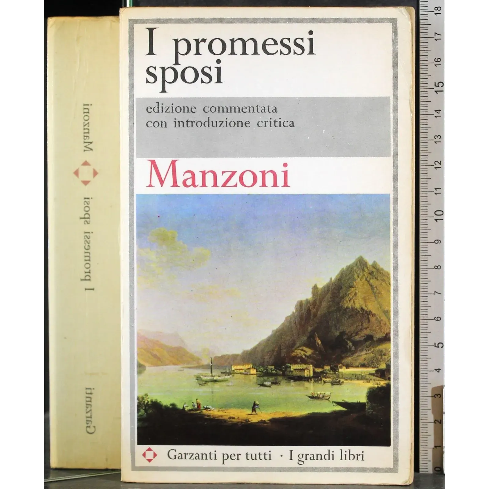 I promessi sposi