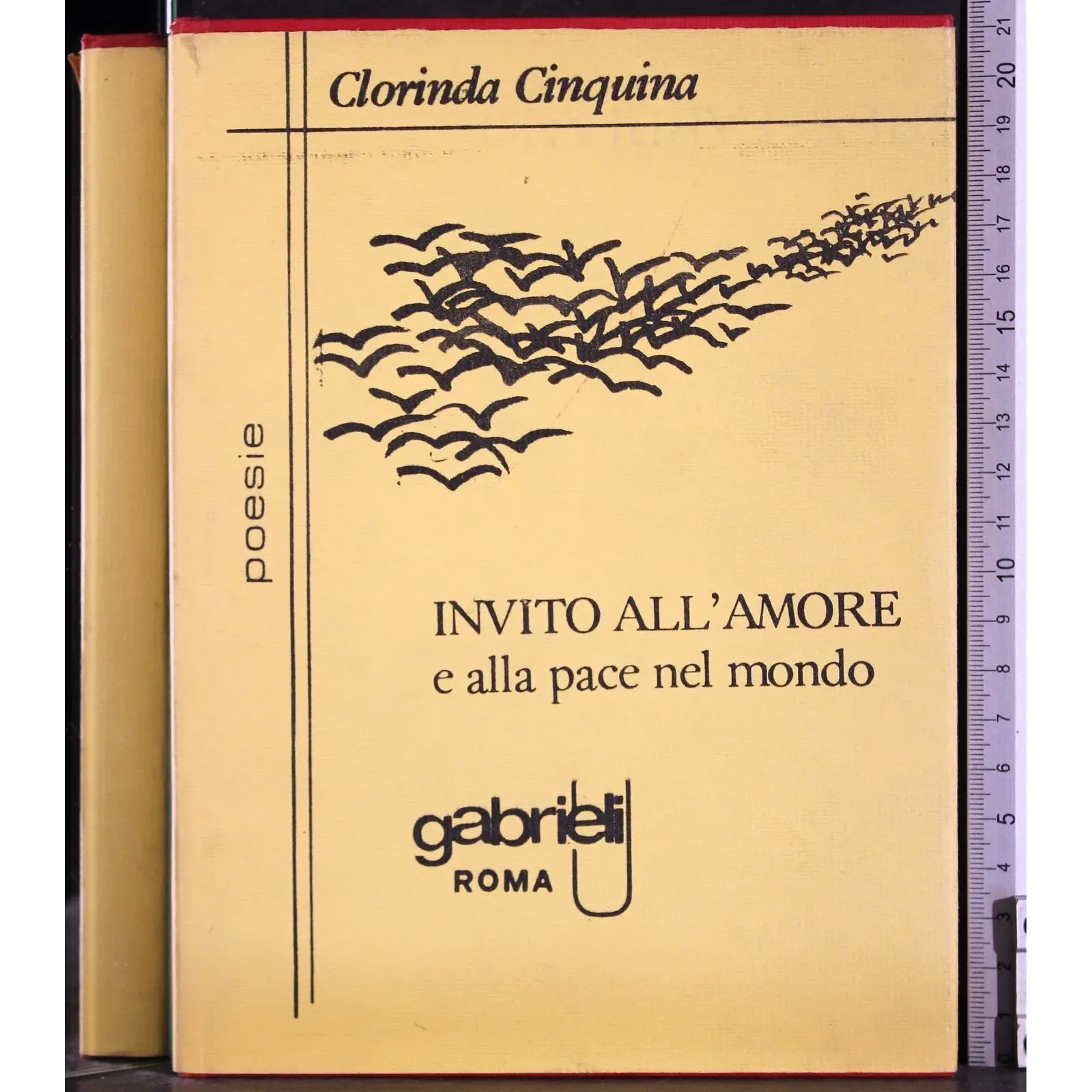 Invito all'amore e alla pace nel mondo