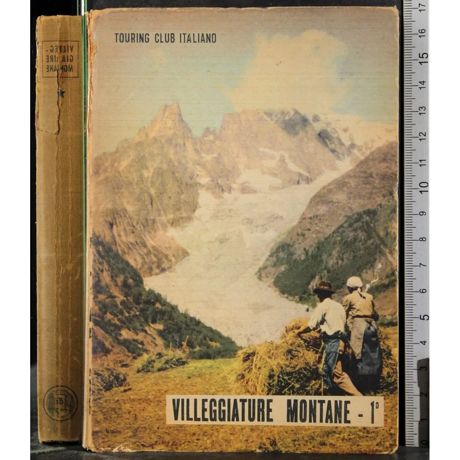 Villegiature montane. Vol 1 Piemonte-Lombardia