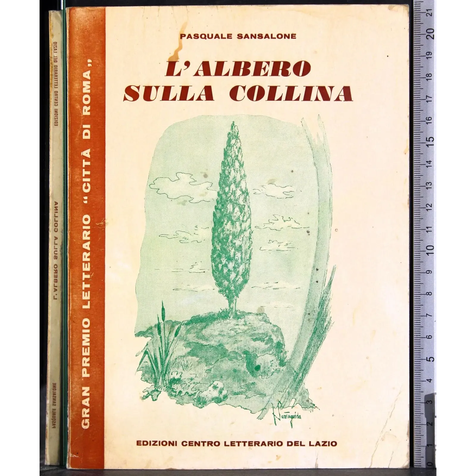 L'albero sulla collina