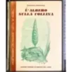 L'albero sulla collina