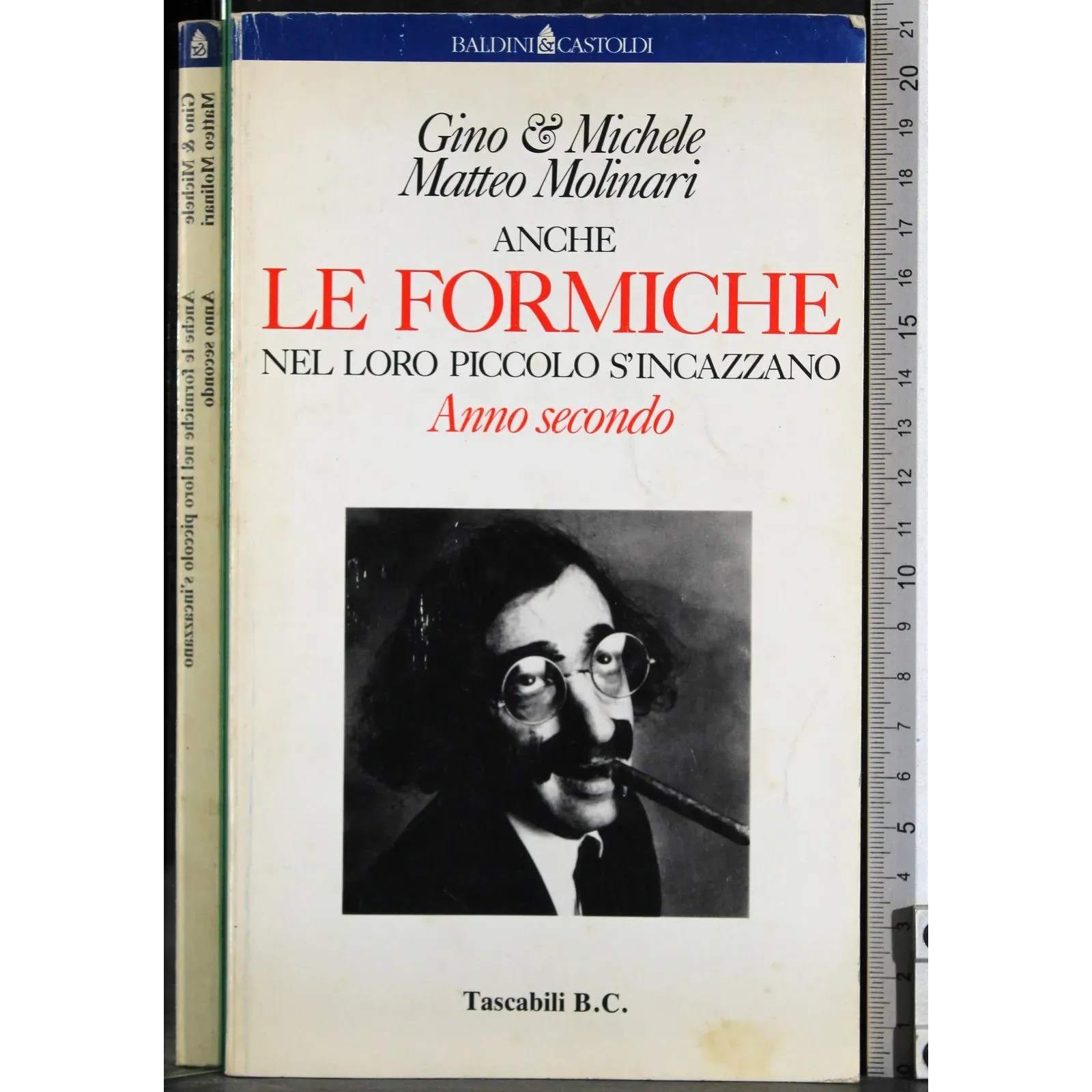 Anche le formiche nel loro piccolo s'incazzano. Anno secondo
