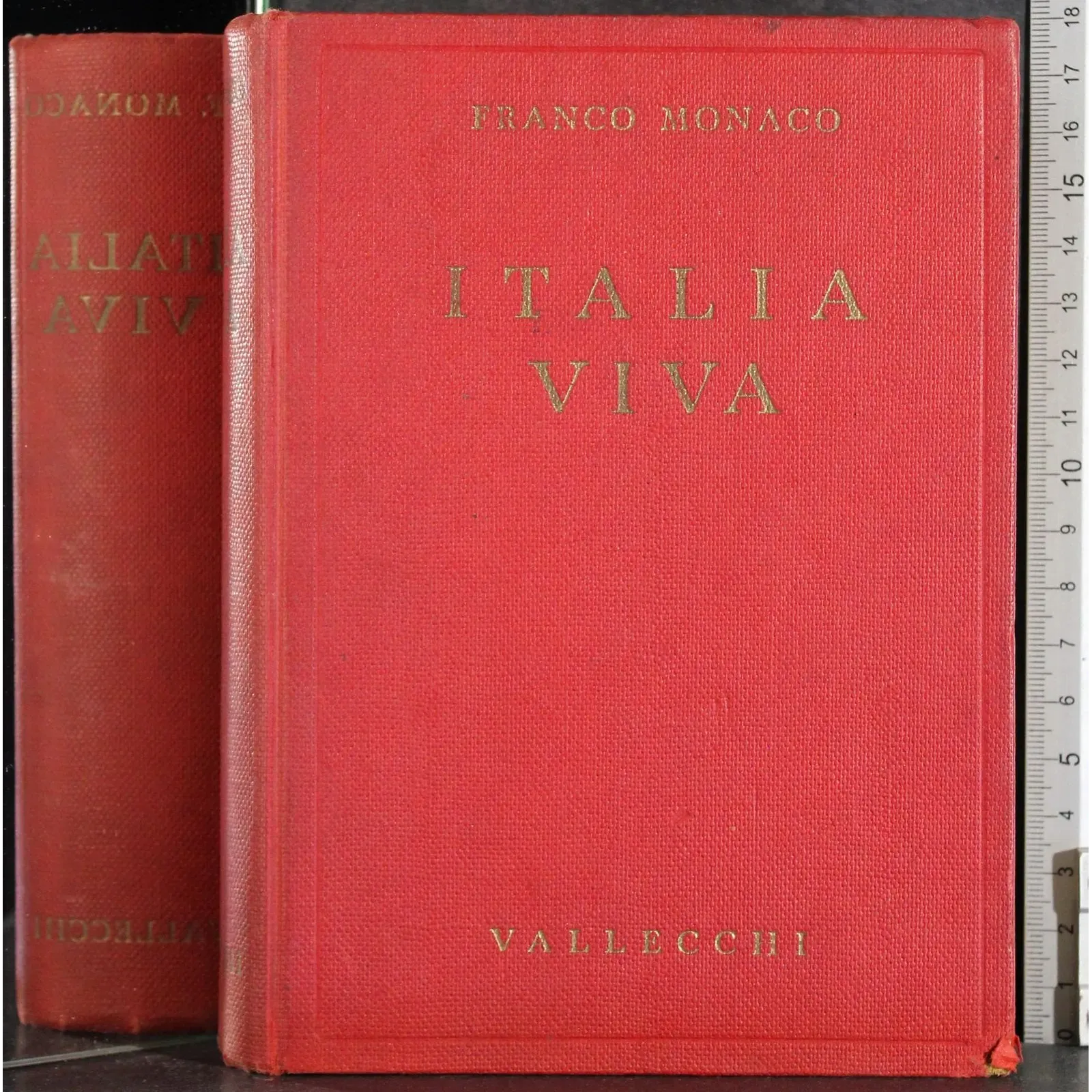 Italia Viva