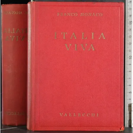 Italia Viva