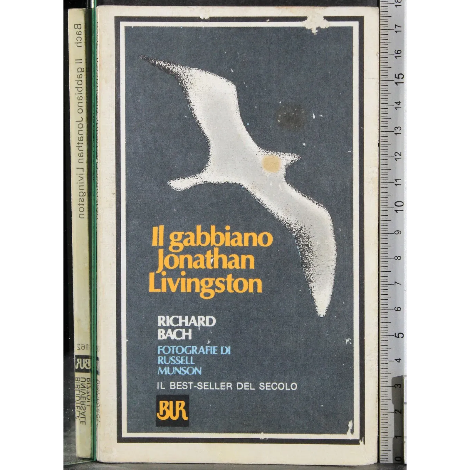 Il gabbiamo Jonathan Livingston
