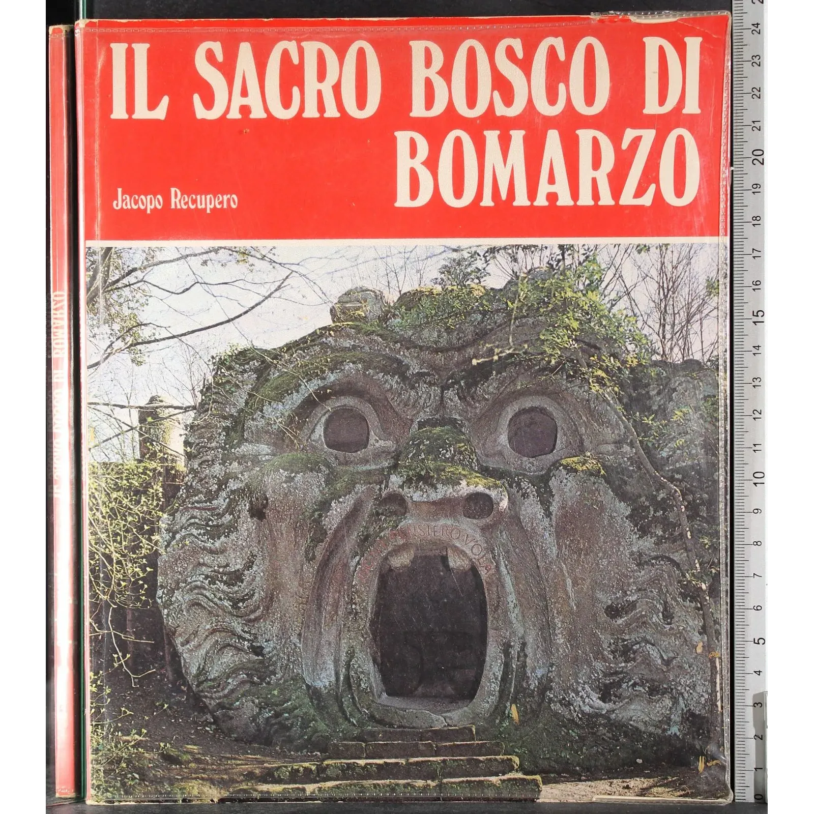 Il sacro bosco di Bomarzo