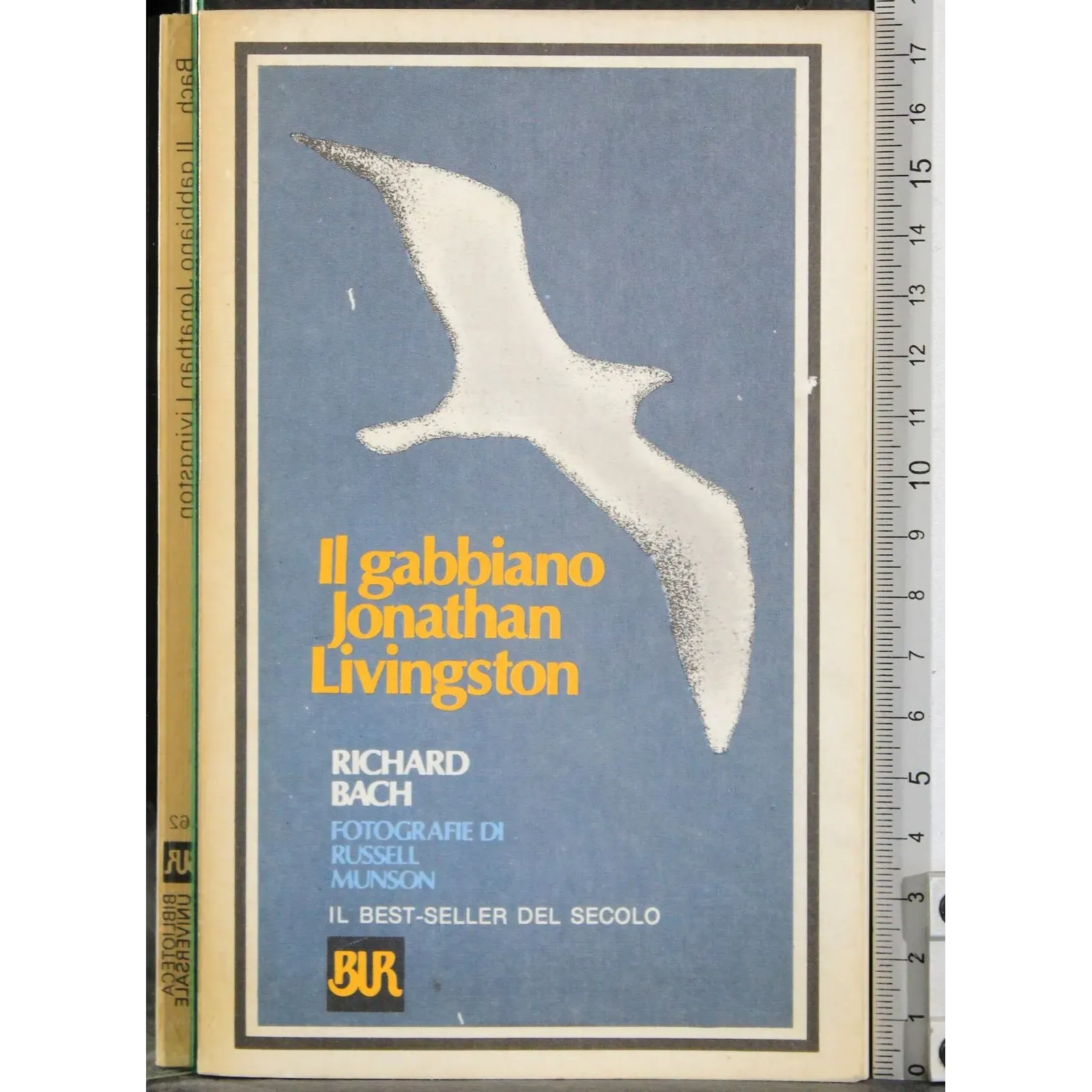 Il gabbiamo Jonathan Livingston