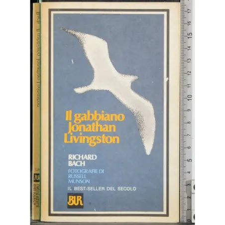 Il gabbiamo Jonathan Livingston