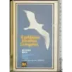 Il gabbiamo Jonathan Livingston