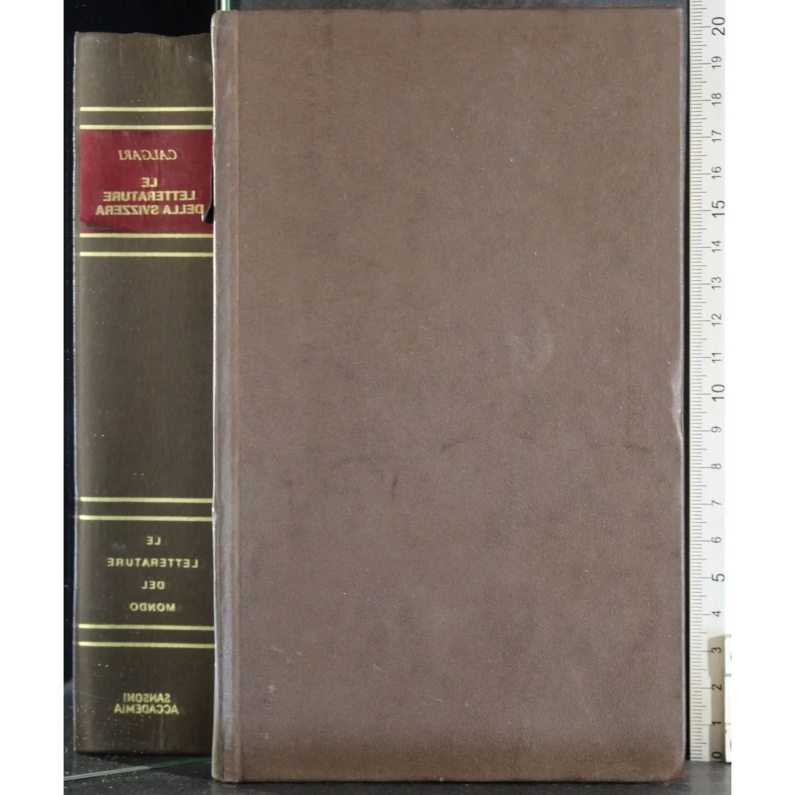 Le 4 letture della Svizzera