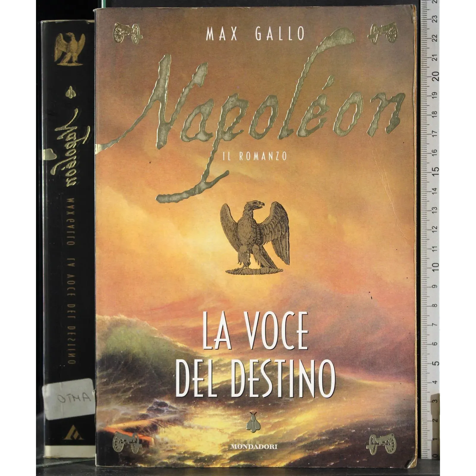 Napoleon. La voce del destino