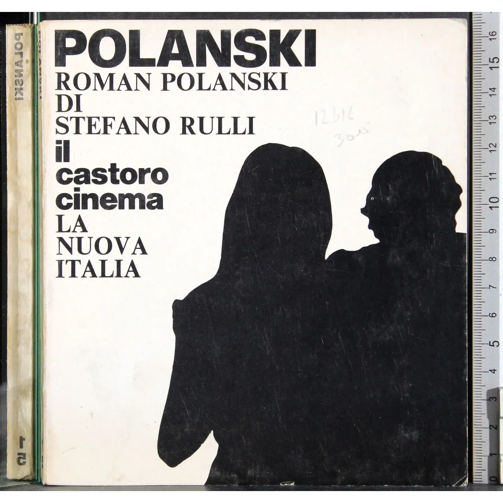 Il Castoro cinema. Polanski