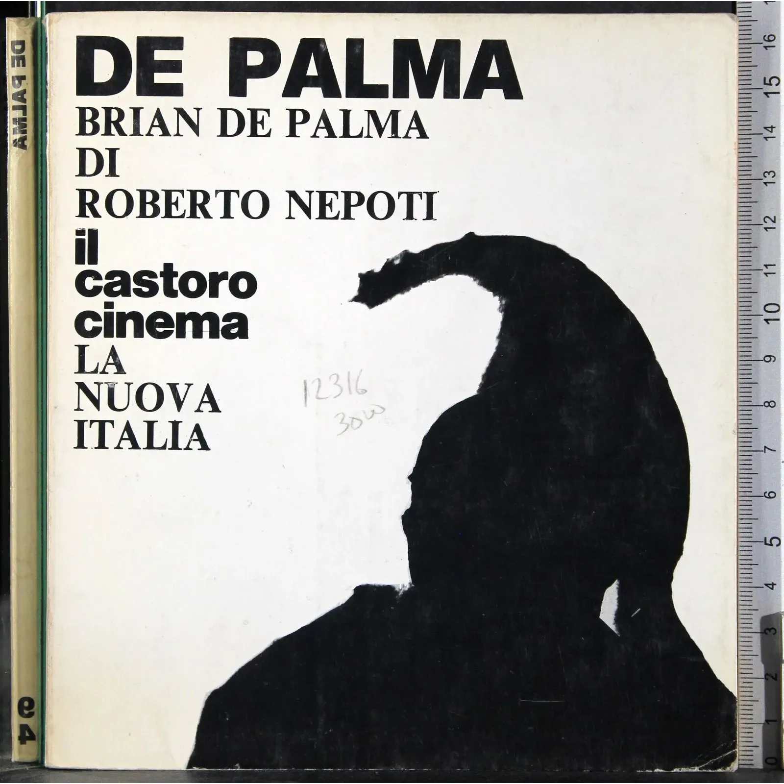 Il Castoro cinema. De Palma