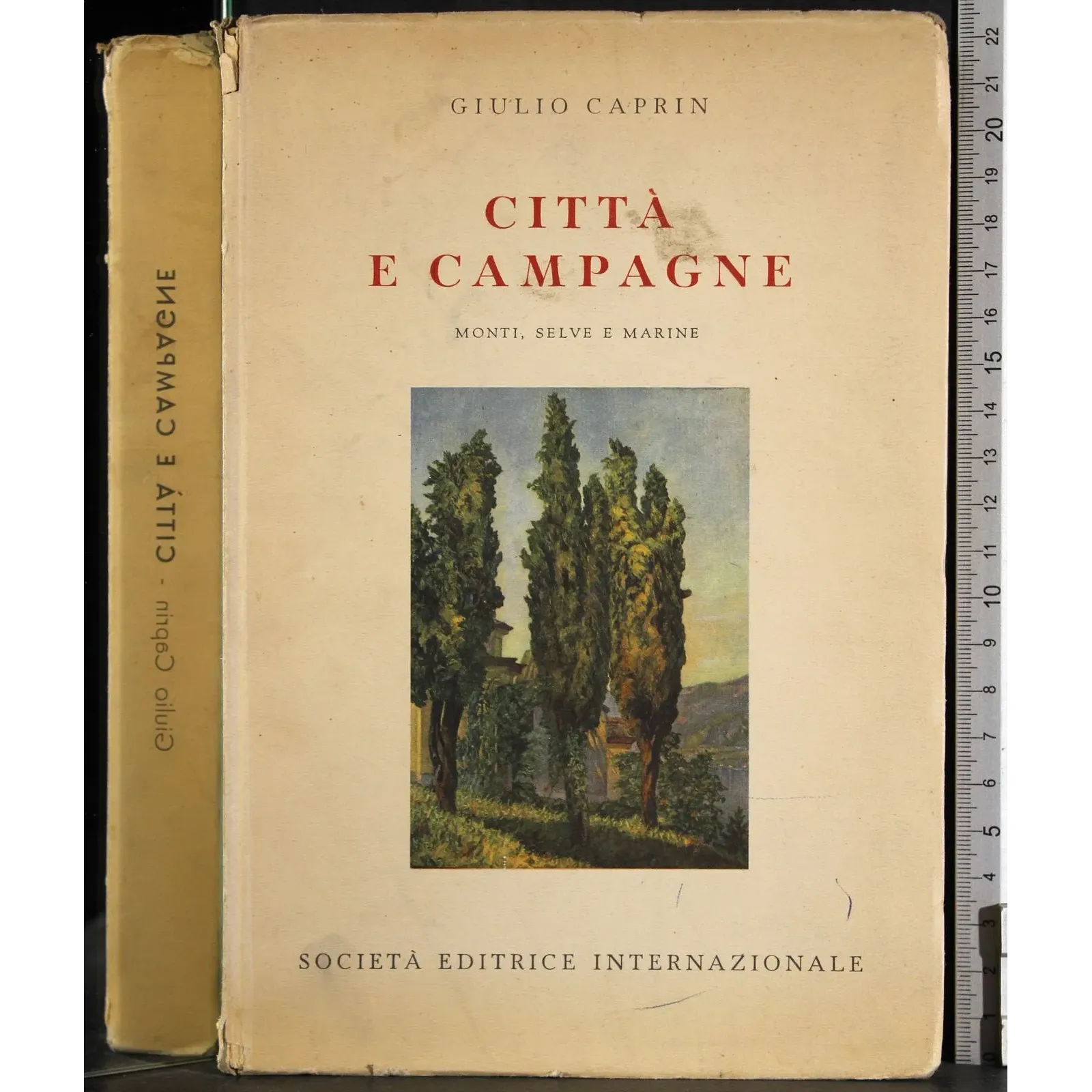 Città e compagne
