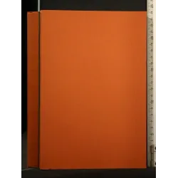 ATTI DELLA SOCIETA' ITALIANA DI CARDIOLOGIA XXII CONGRESSO