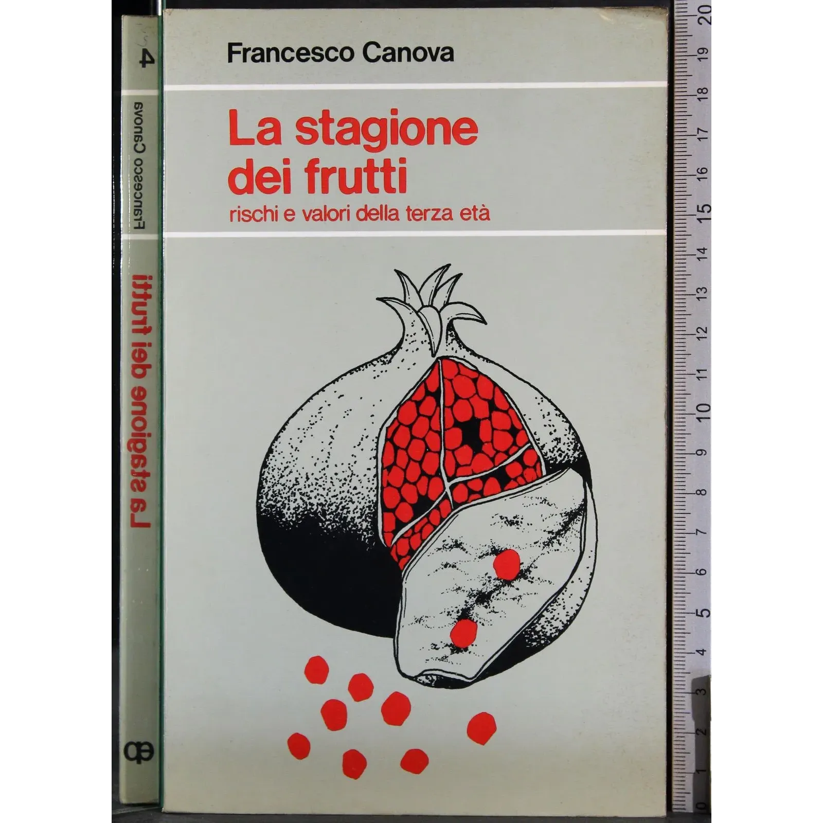 La stagione dei frutti
