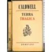 Terra Tragica