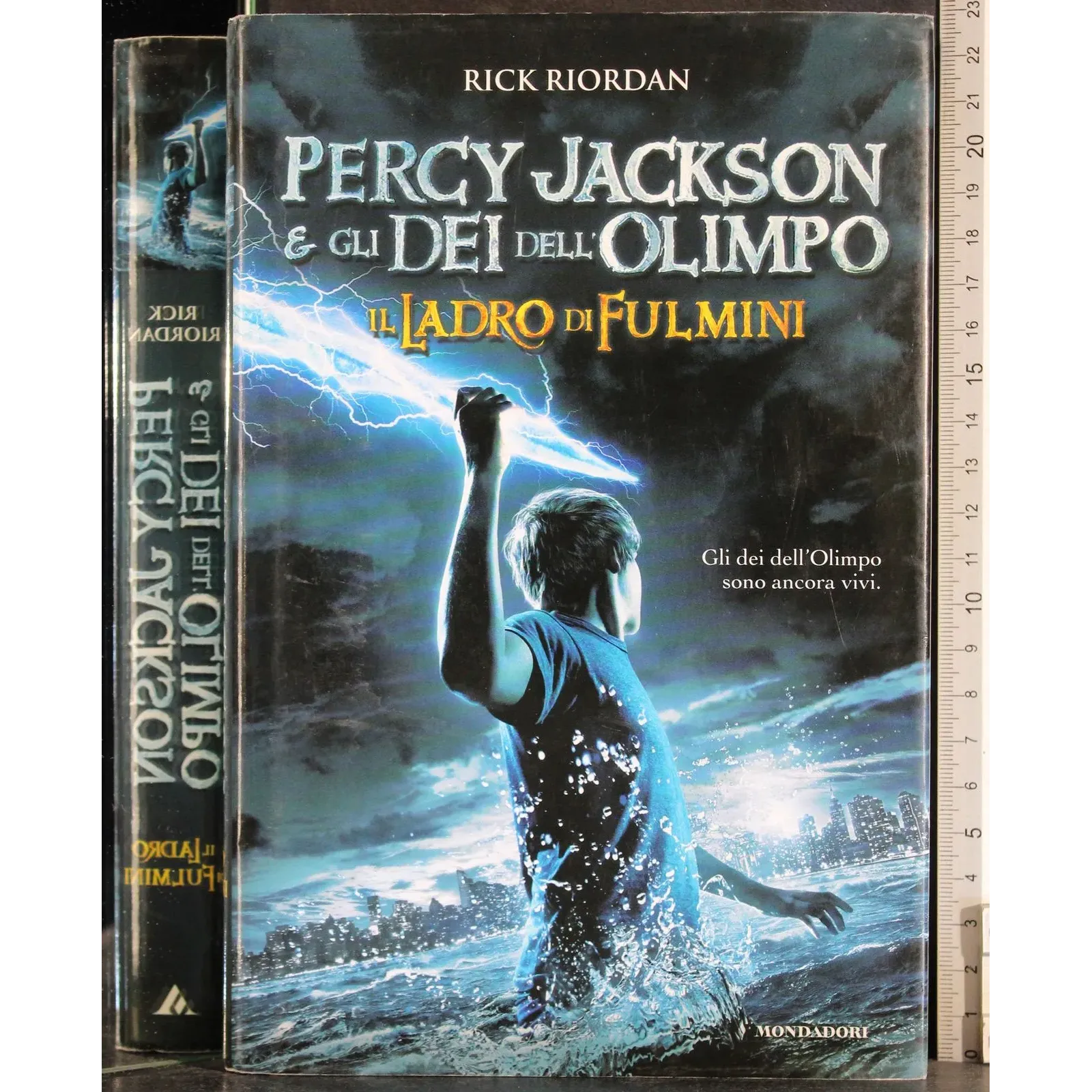 Percy Jackson e gli dei dell'olimbo. Il ladro di fulmini