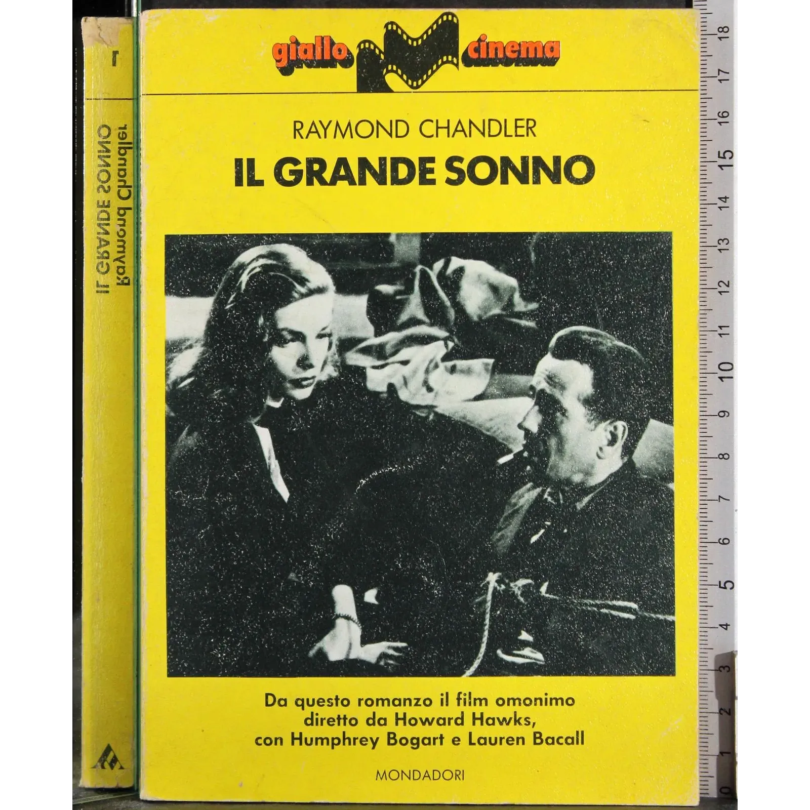 Il grande sonno