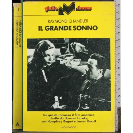 Il grande sonno
