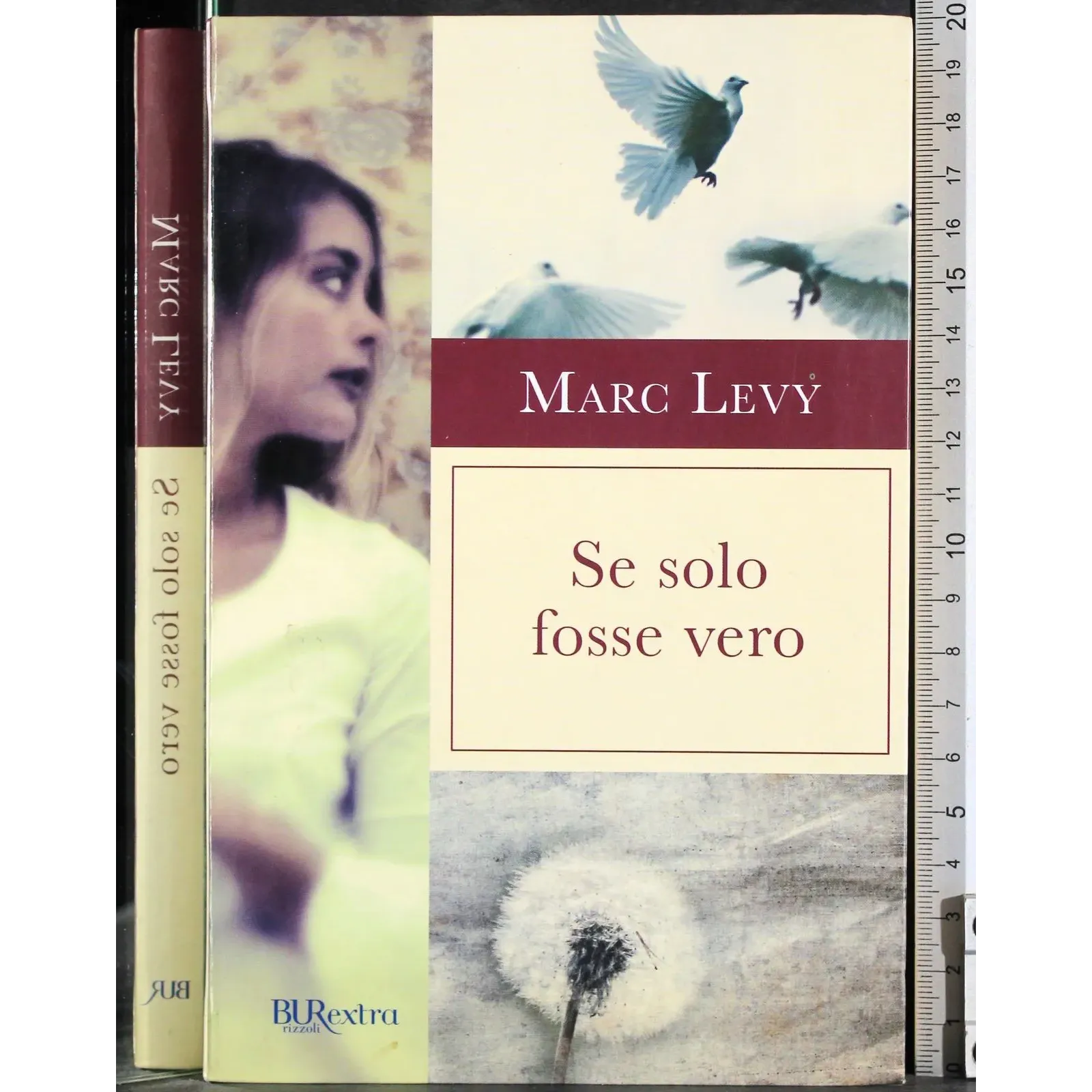 Se solo fosse vero