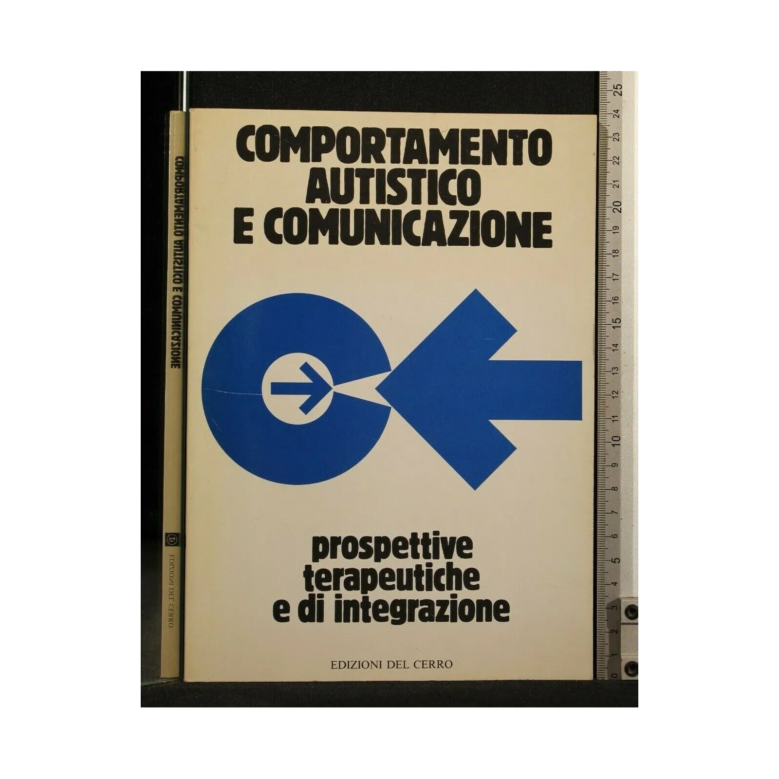 COMPORTAMENTO AUTISTICO E COMUNICAZIONE