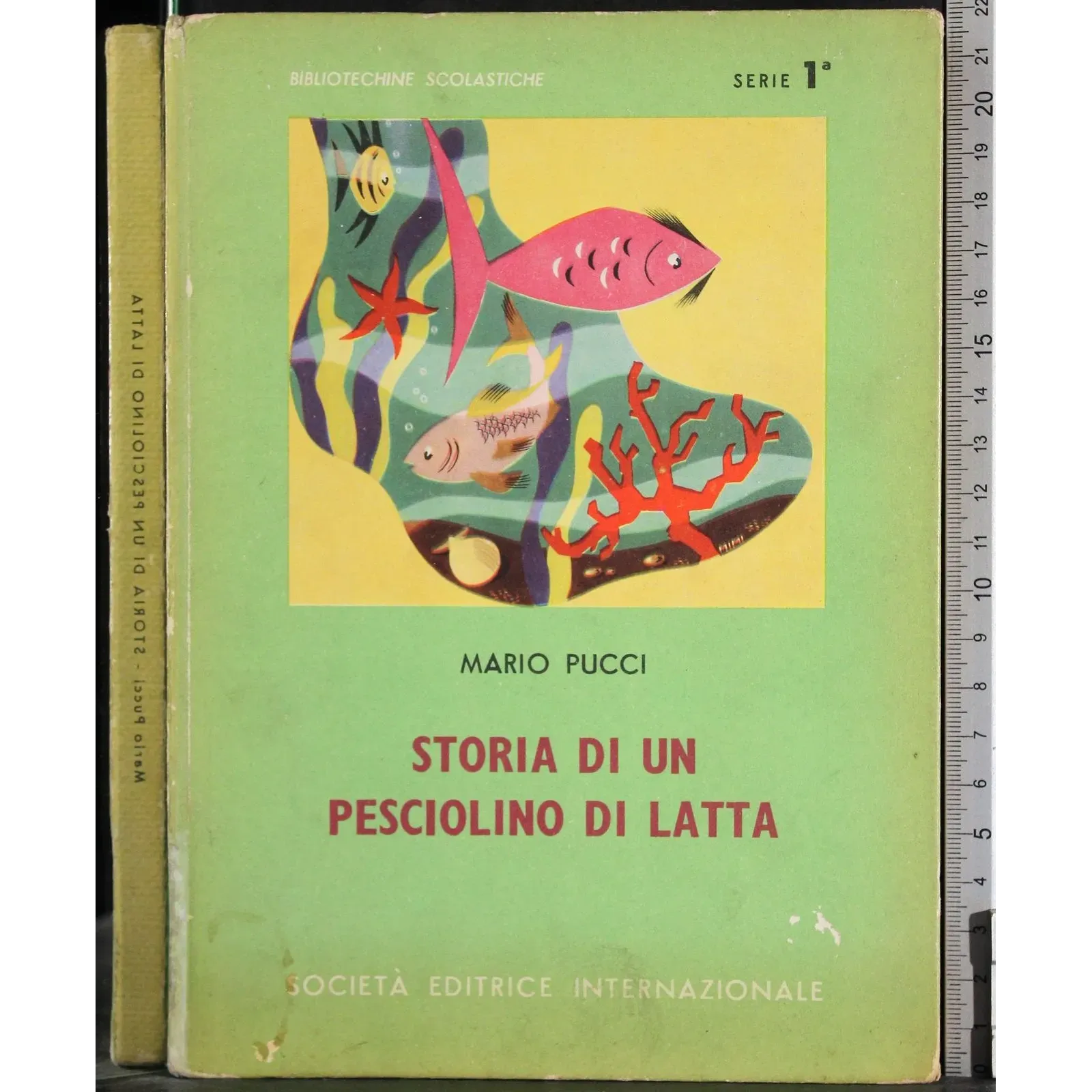 Storia di un pesciolino di latta