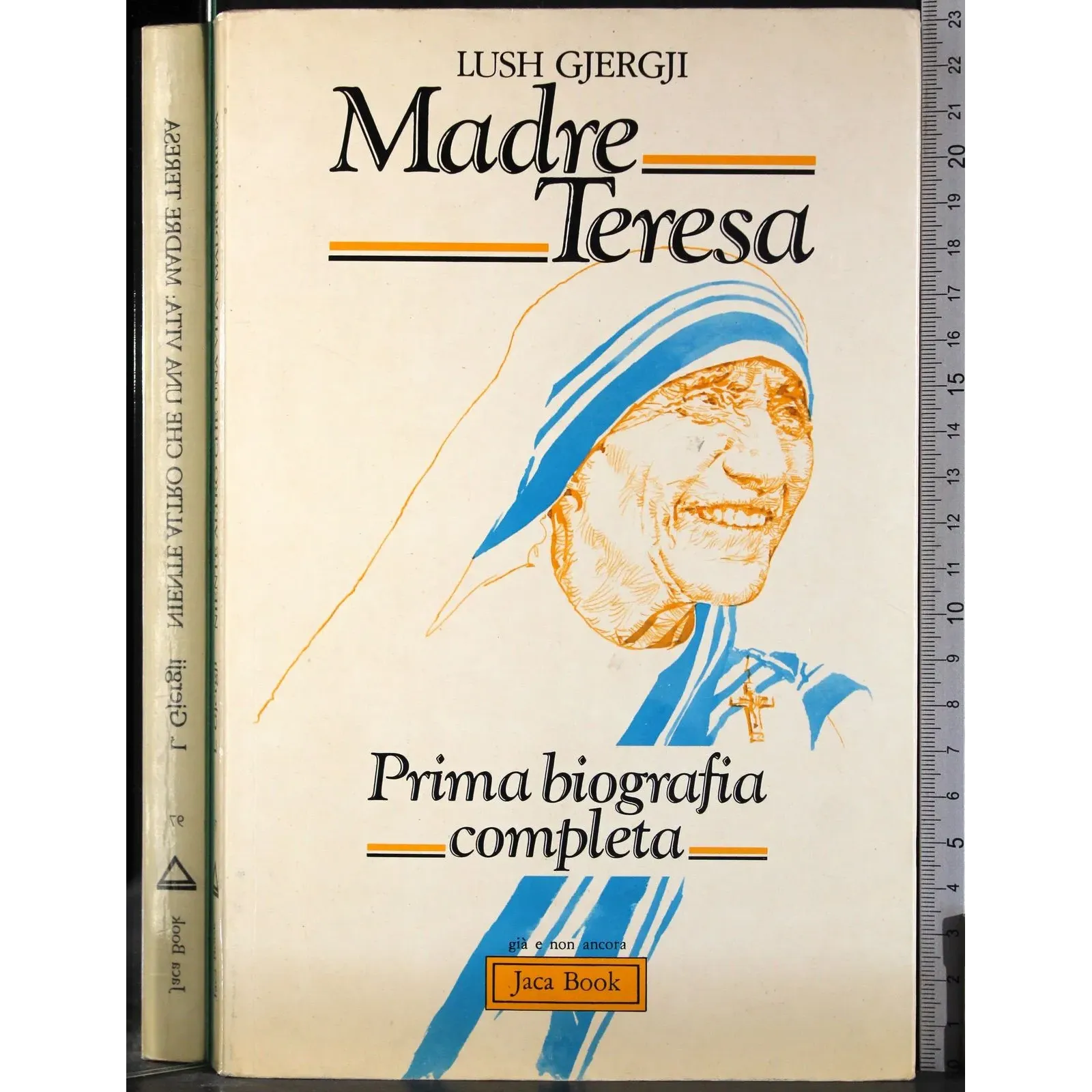 Madre Teresa. Prima biografia completa