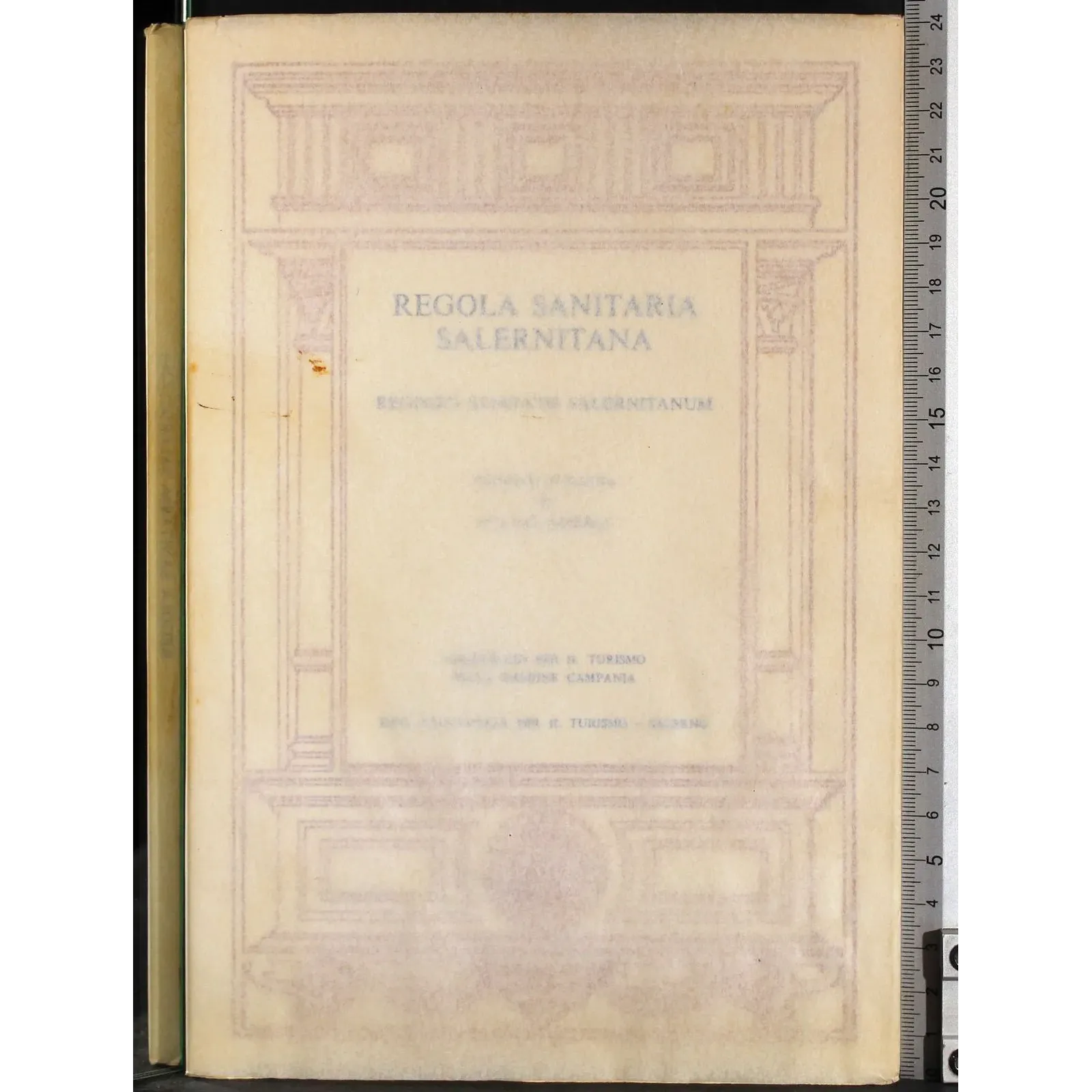 Regola sanitaria salernitane