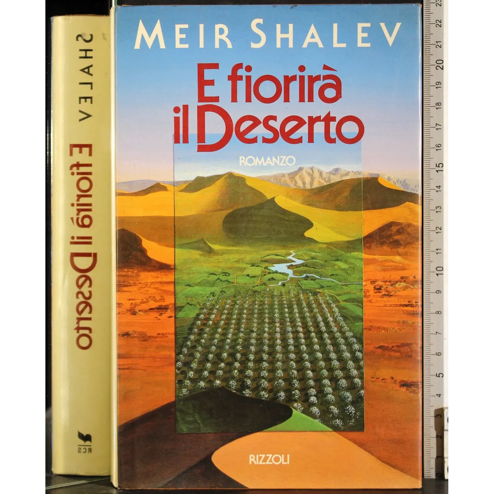 E fiorirà il deserto