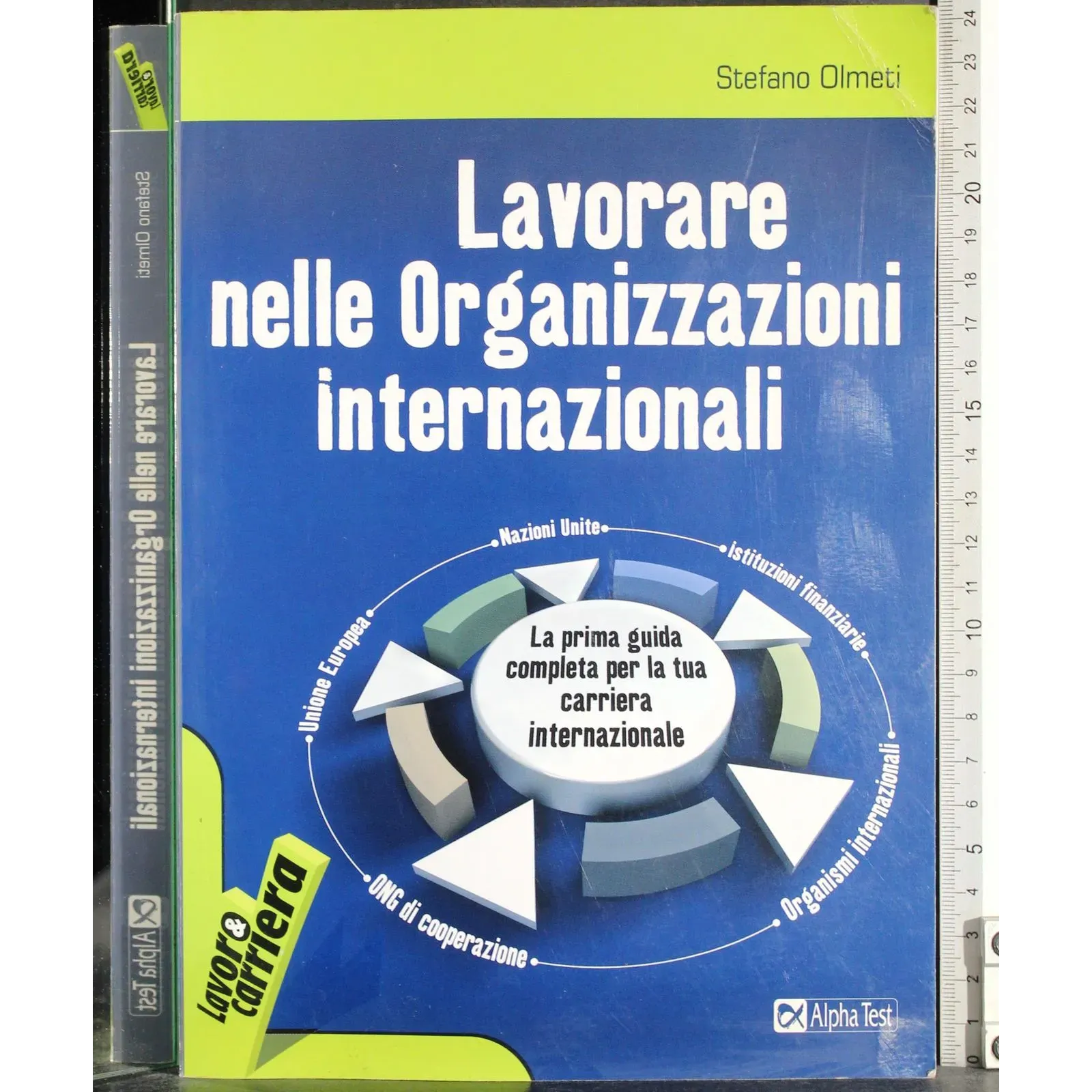 Lavorare nelle Organizzazioni internazionali