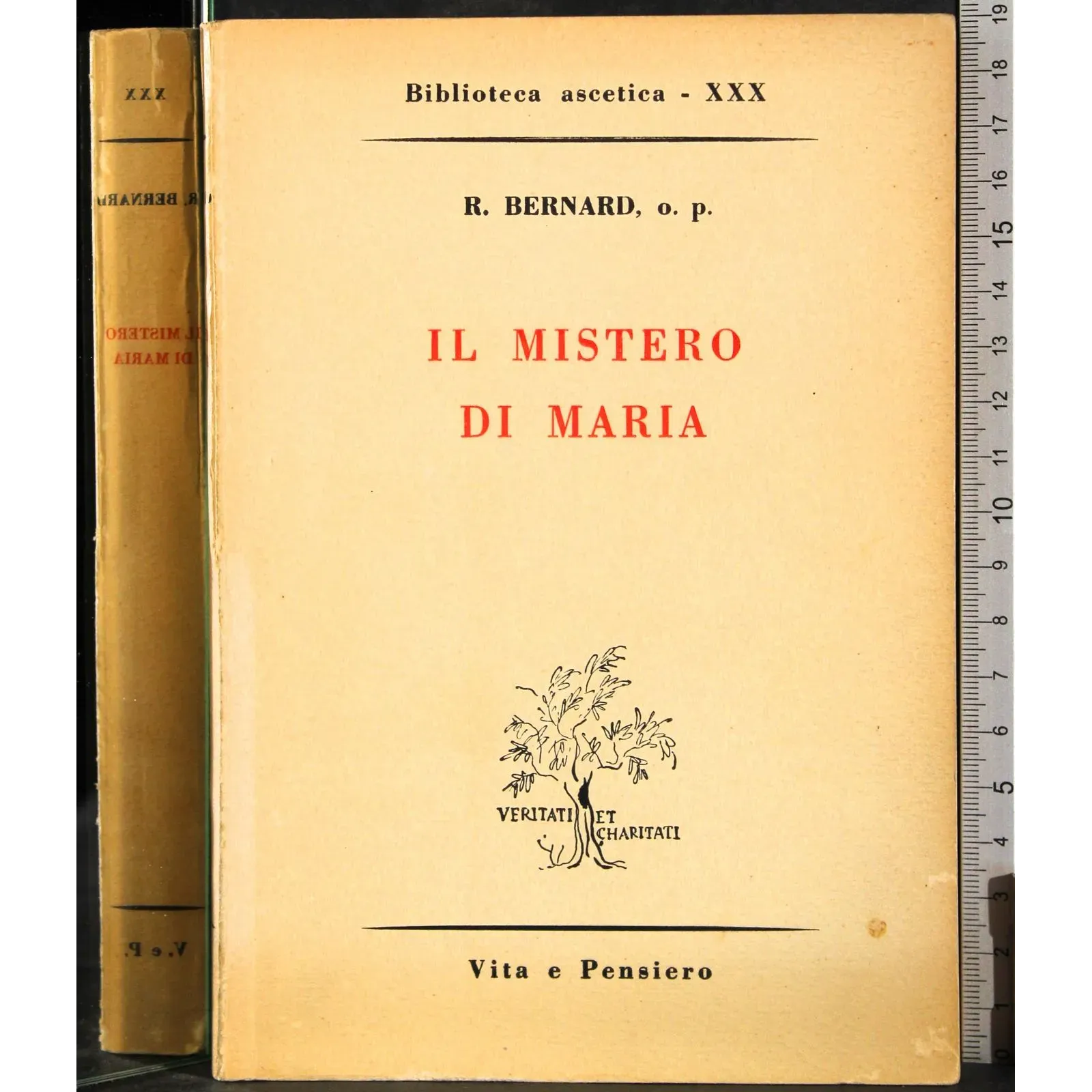 Il mistero di maria