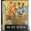 Musei senesi
