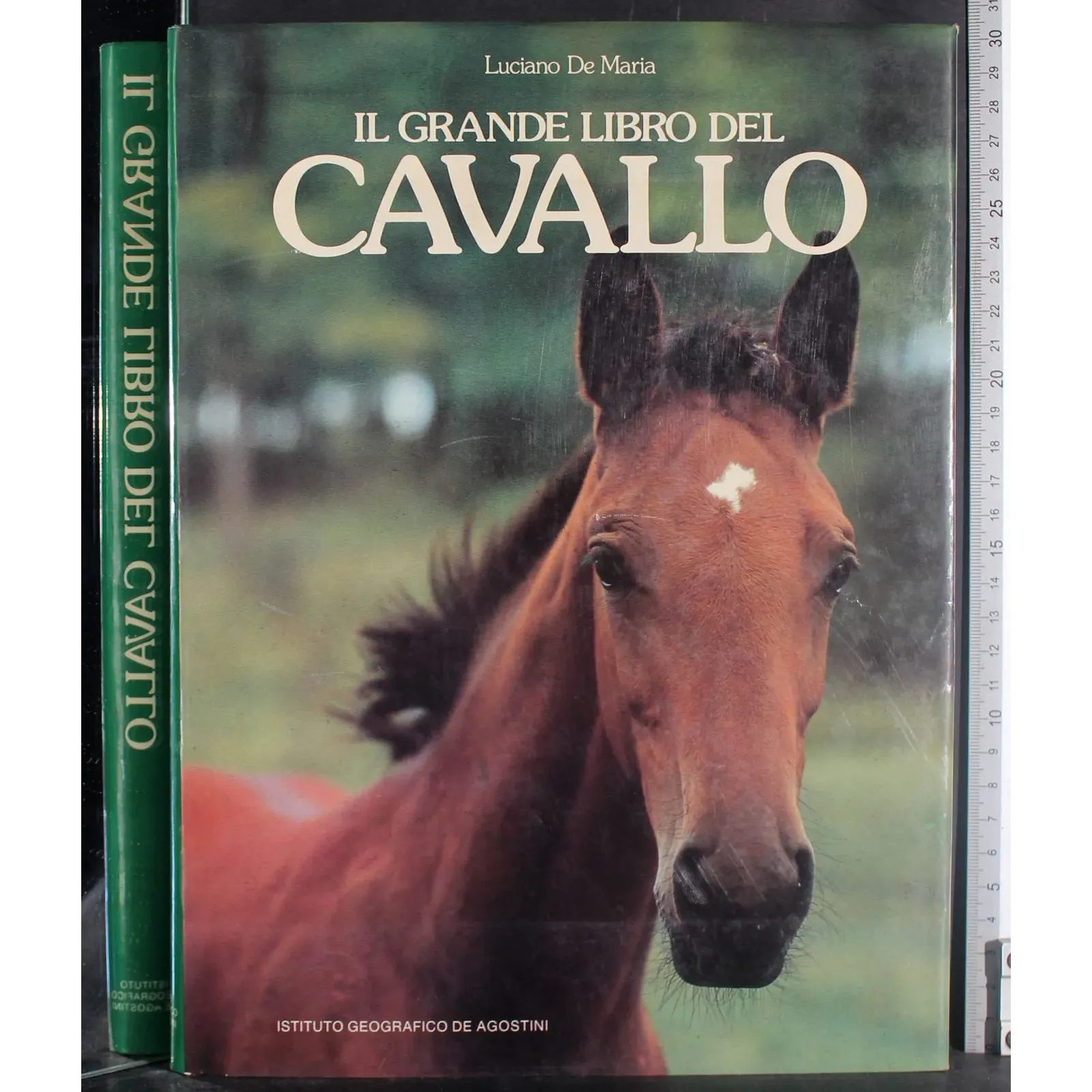 Il grande libro del cavallo