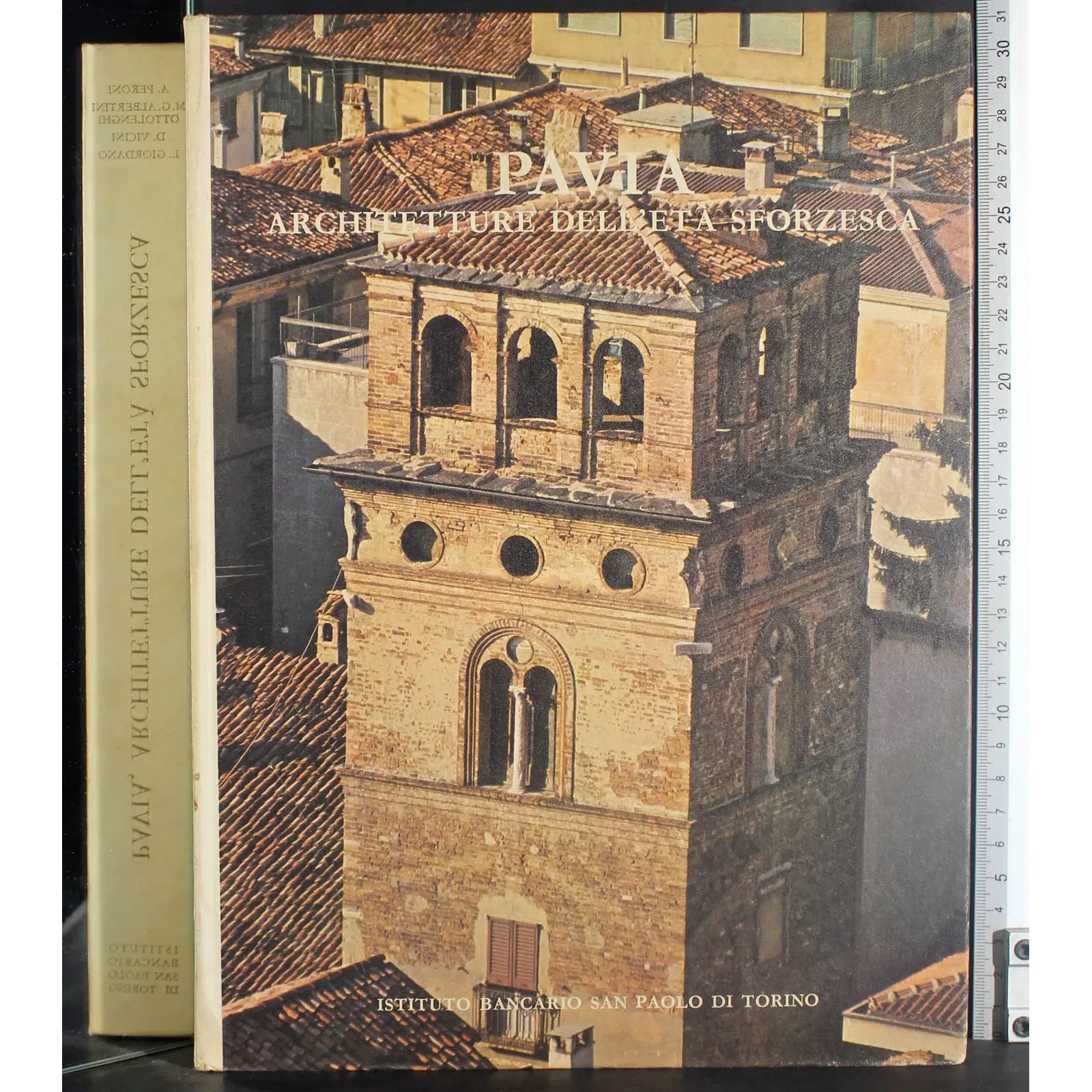Pavia. Architetture dell'età sforzesca