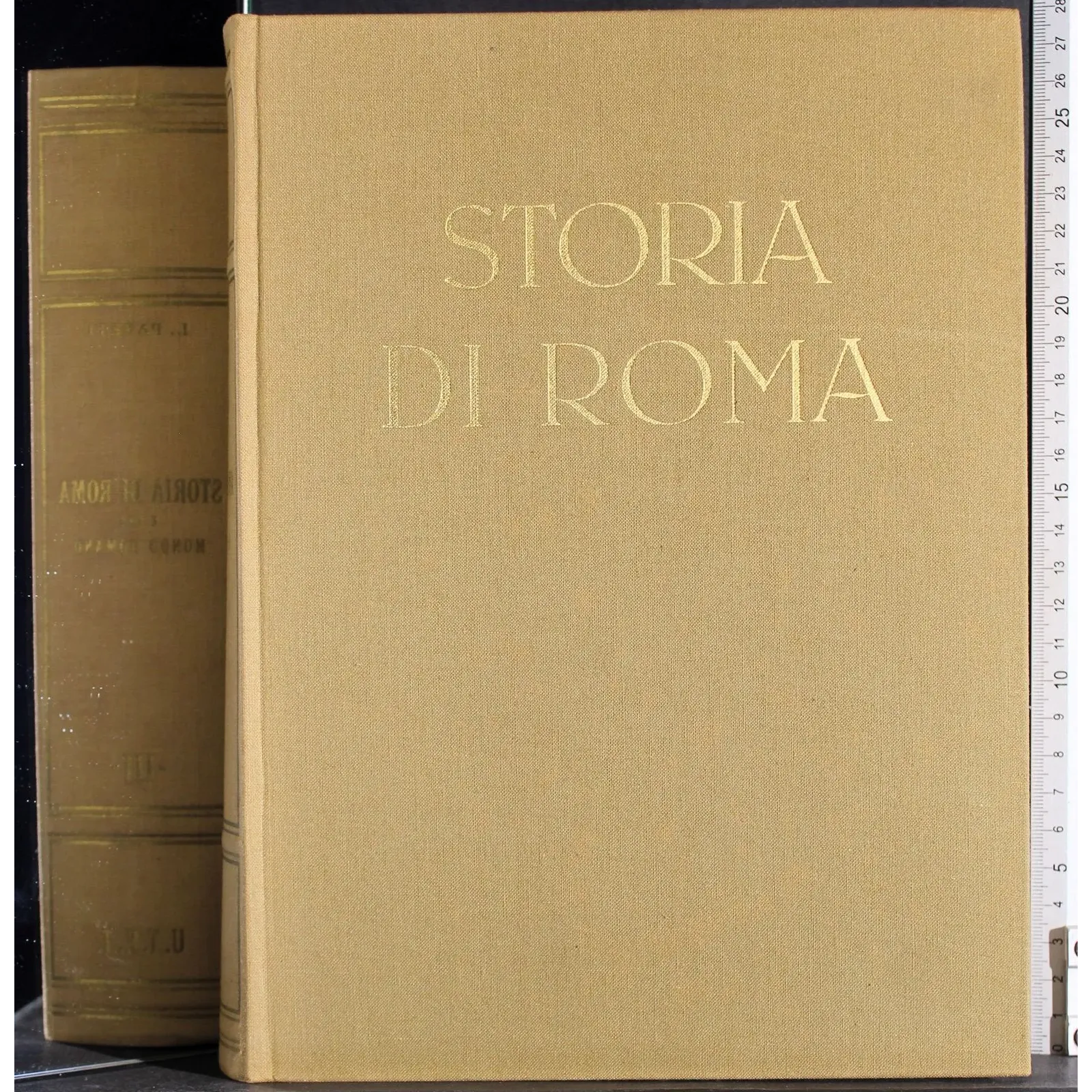 Storia di Roma e del mondo romano. Vol 3