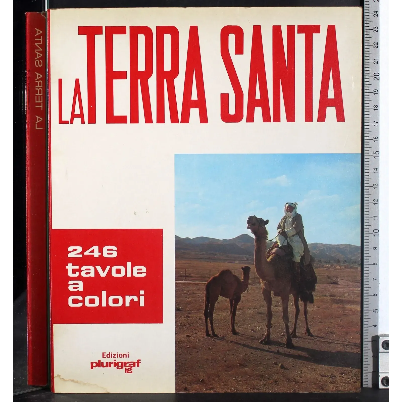 La Terra Santa