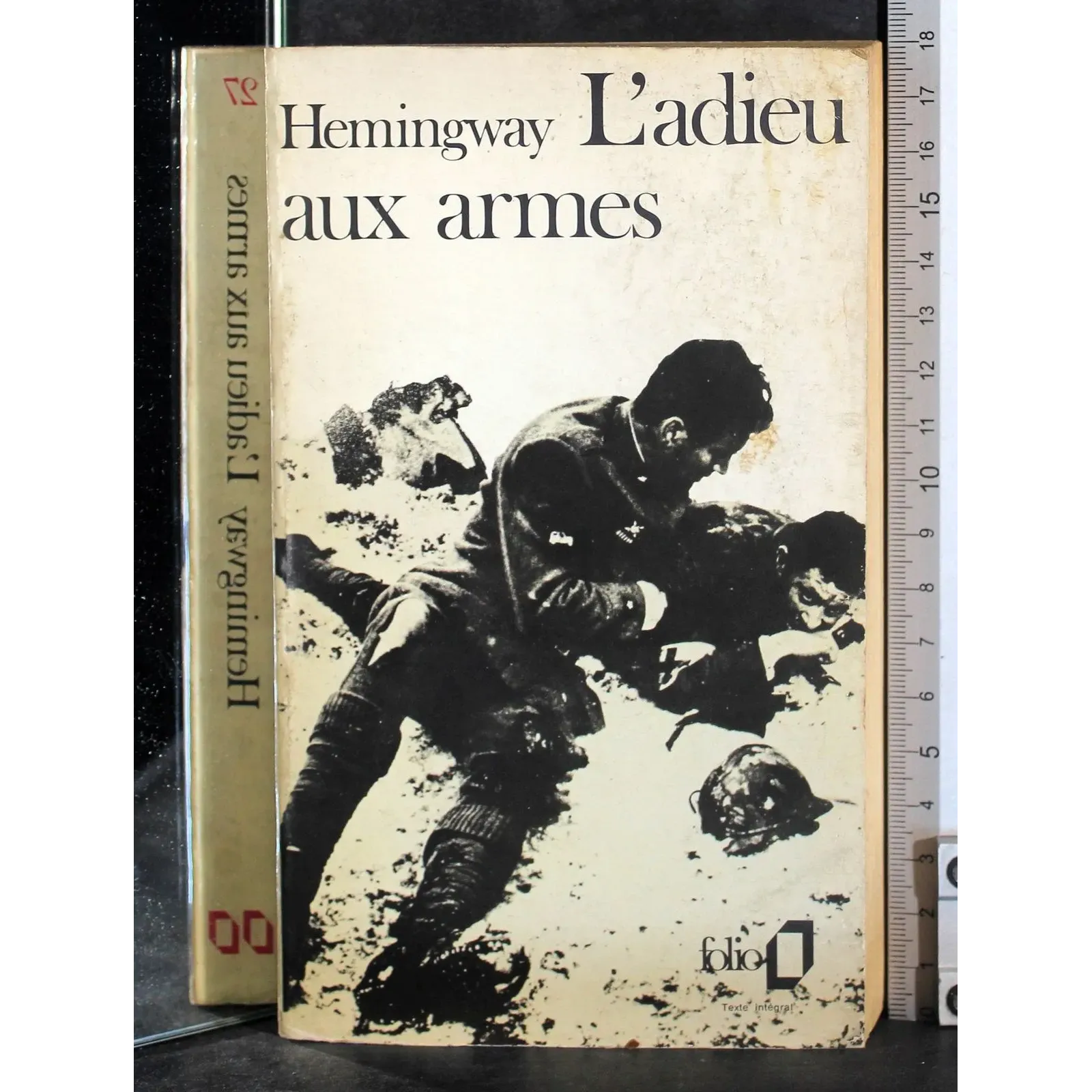 L'adieu aux armes