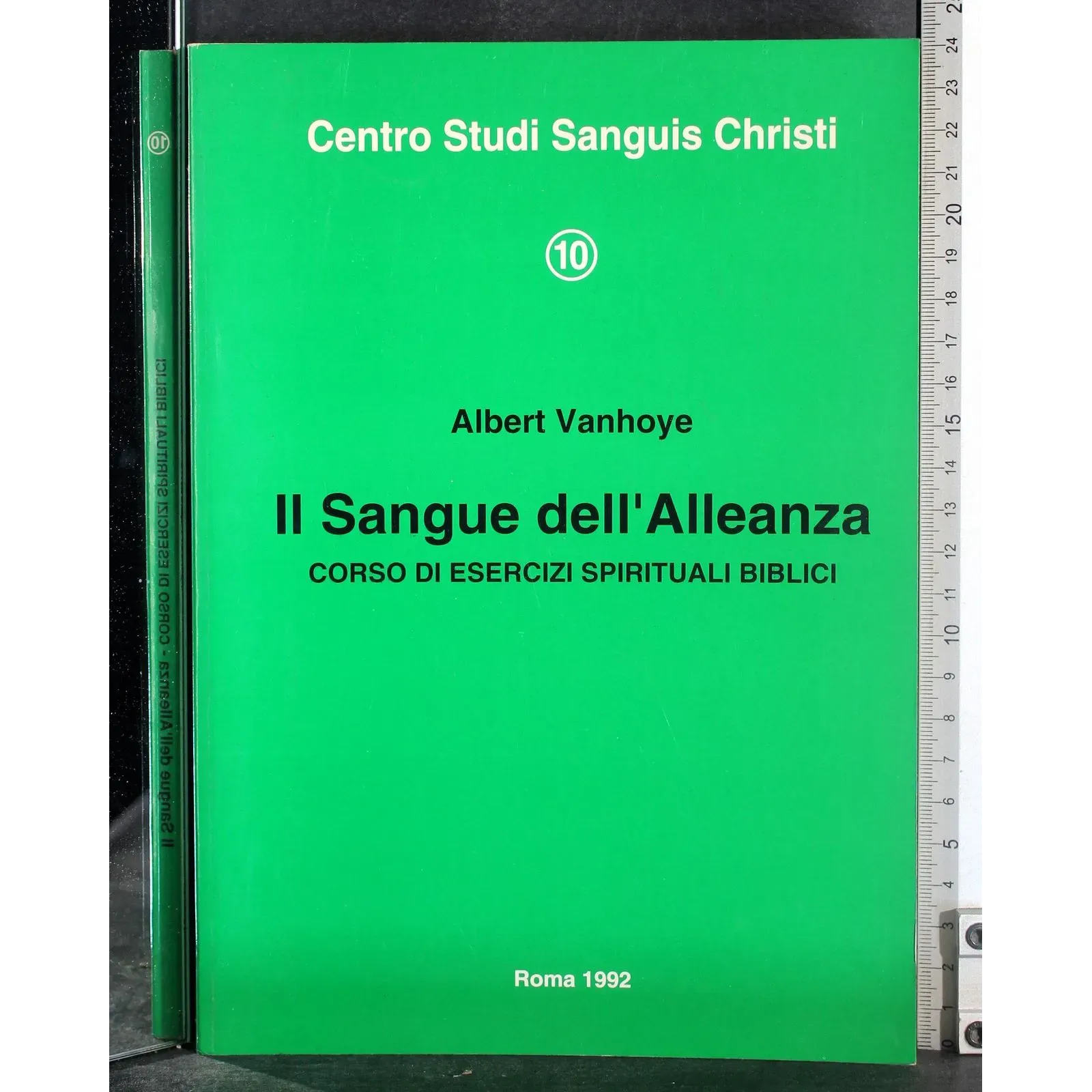 Il sangue dell'alleanza