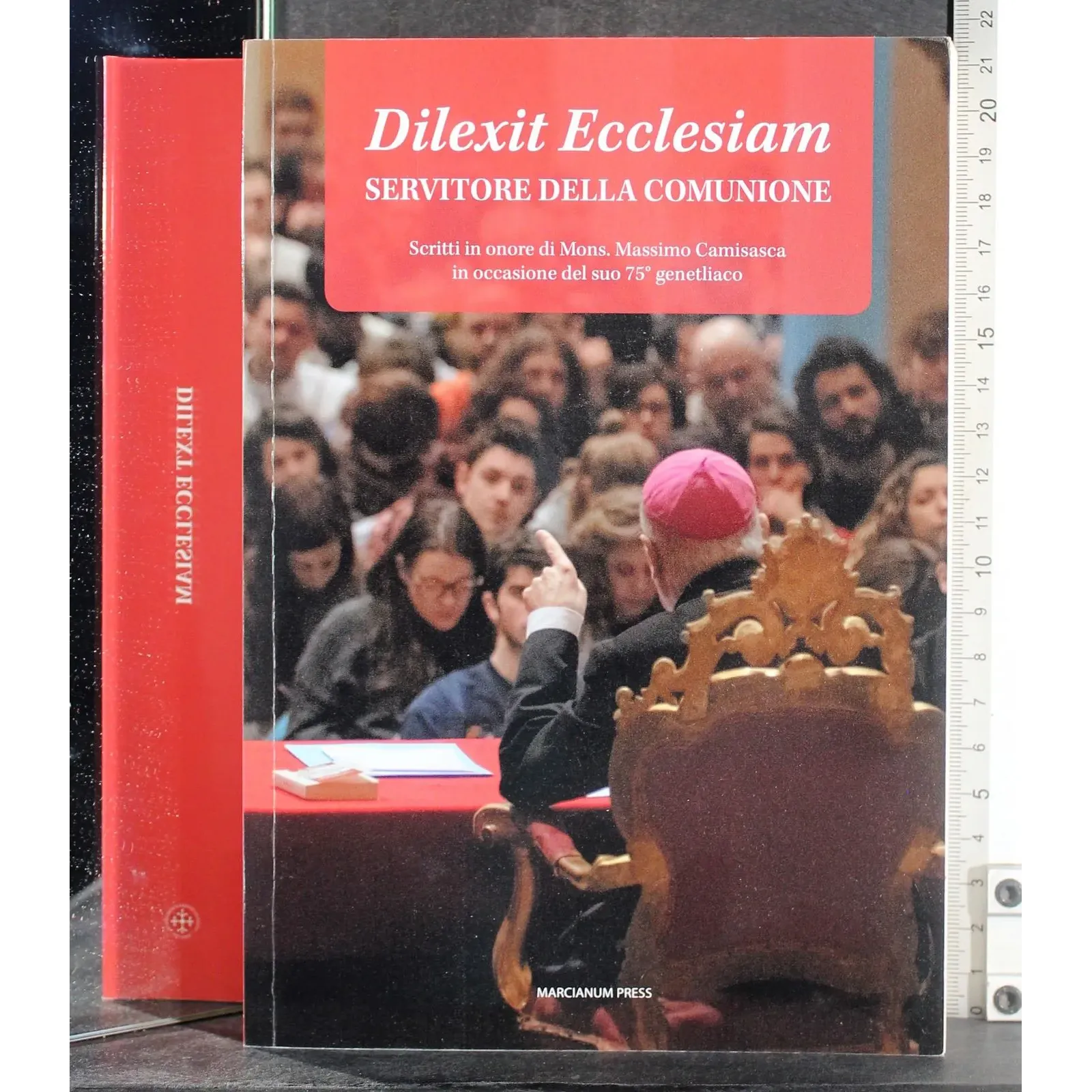 Dilexit Ecclesiam. Servitore della comunione