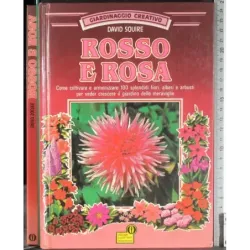 Rosso e rosa