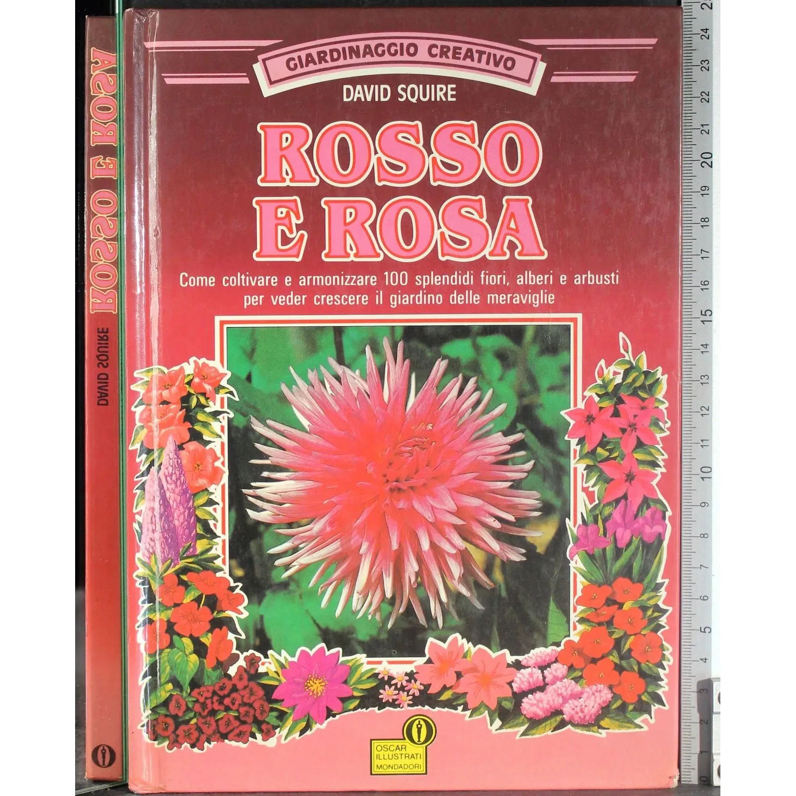Rosso e rosa
