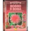 Rosso e rosa