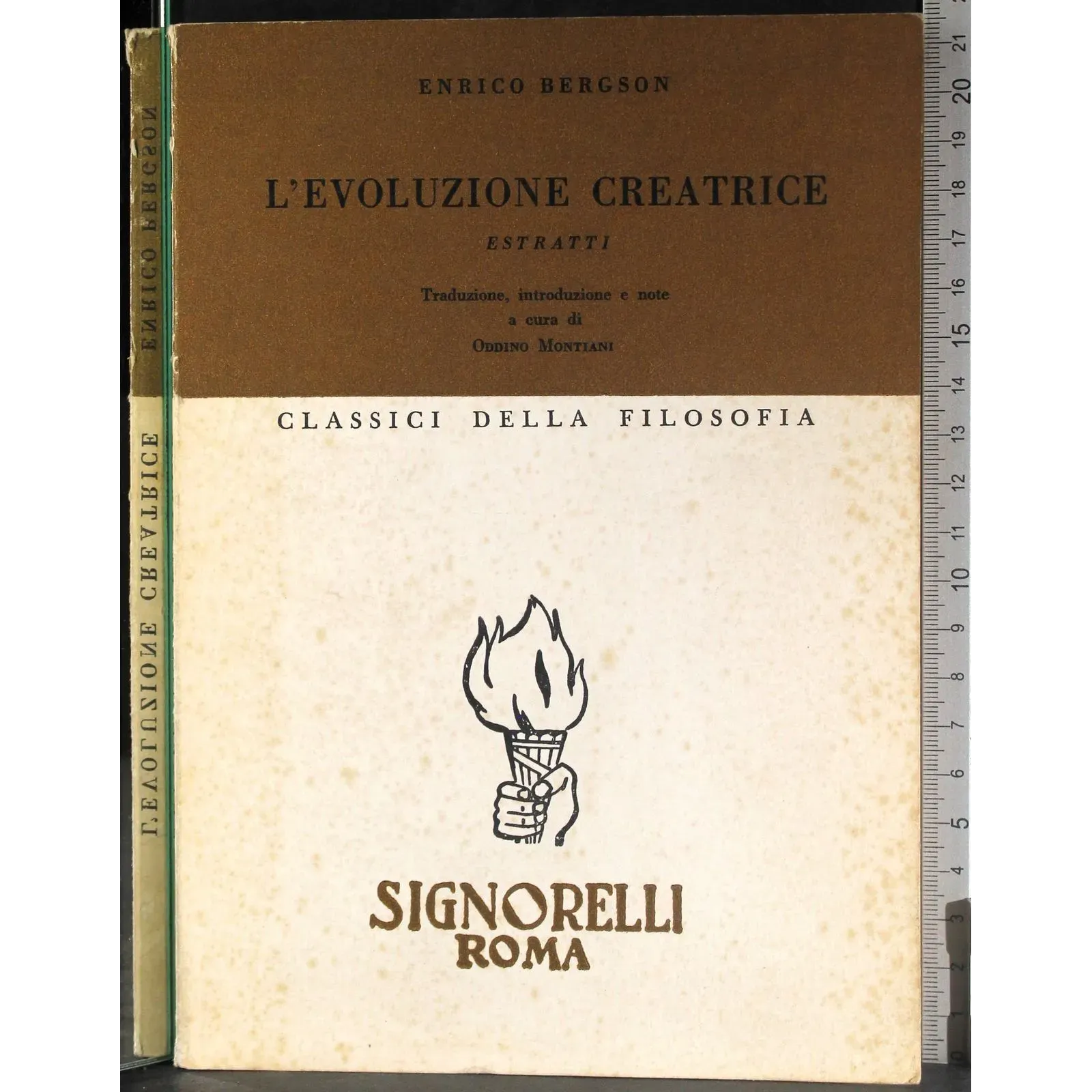 L'Evoluzione creatice. Estratti
