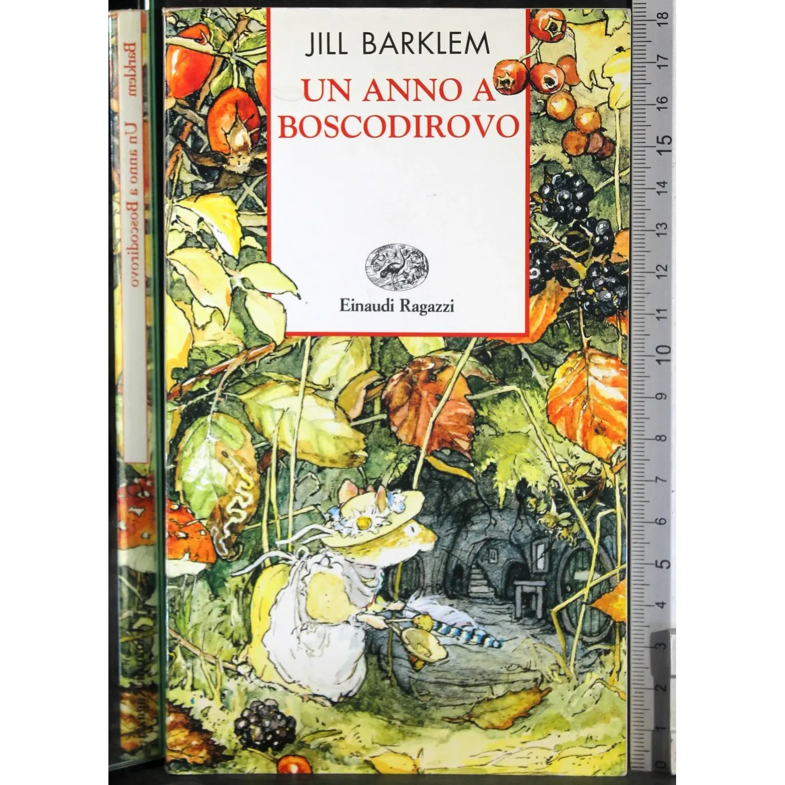 Un anno a Boscodirovo