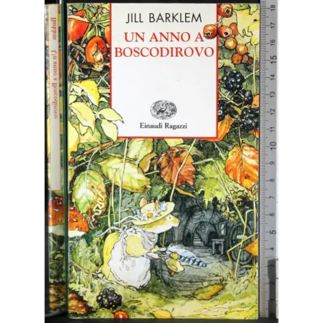 Un anno a Boscodirovo