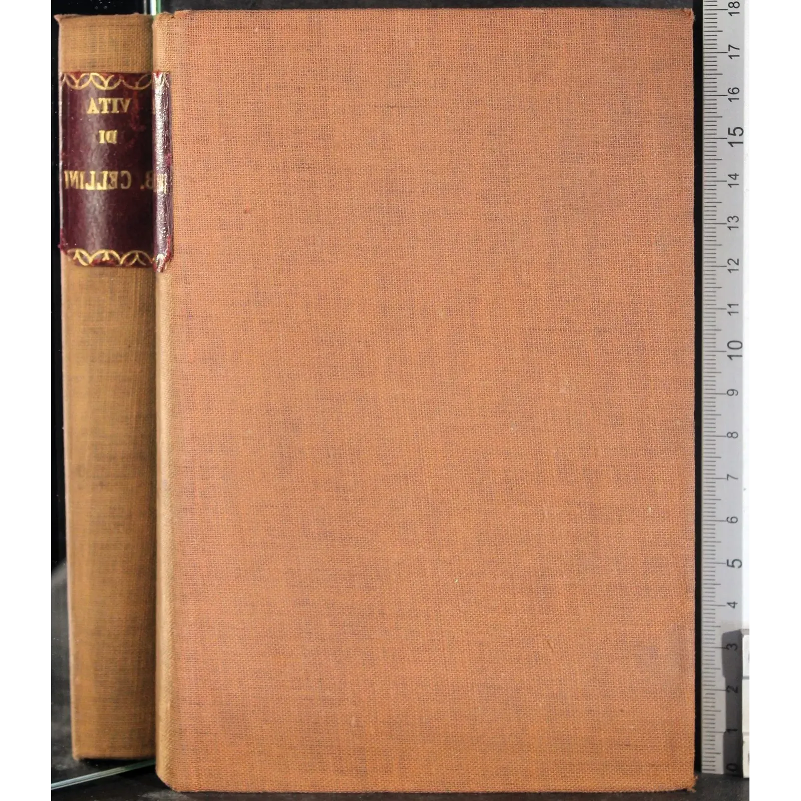 La vita