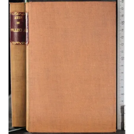 La vita