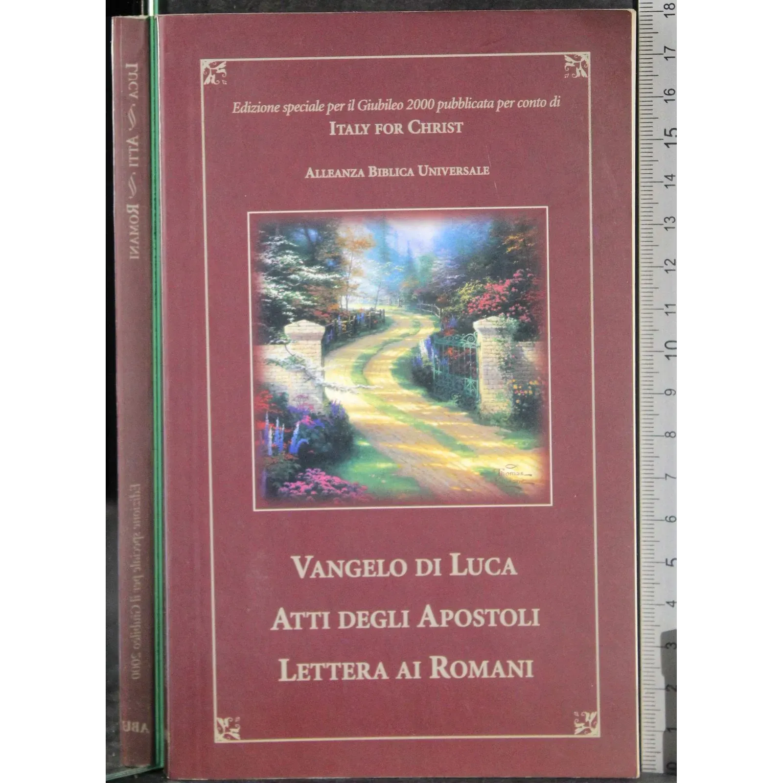 Vangelo Luca. Atti degli apostoli. Lettera ai romani